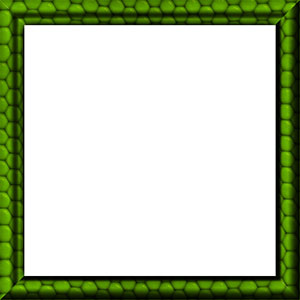 green, black and white border with hexagons