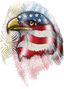 eagle in red, white and blue