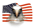 American flag and eagle animation