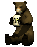 bear with honey