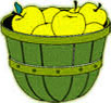 basket of yellow apples