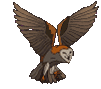 flying owl animated