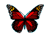 red butterfly