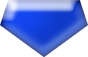 dark blue cropped pentagon button
