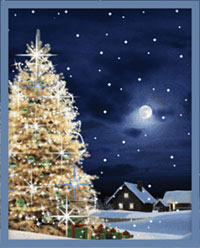 Christmas tree outdoors