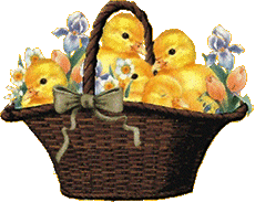 basket Easter chicks