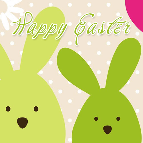 bunny Happy Easter