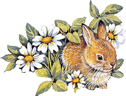 bunny and flowers