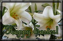 white Easter lilies