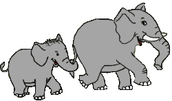 mom and baby elephants