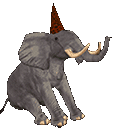 party elephant