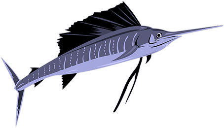 sailfish image