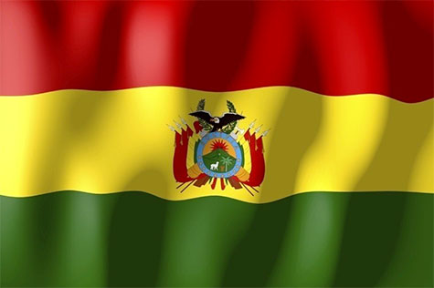 Bolivia flag wave