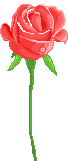 rose with star animation