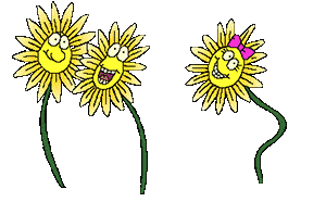 happy sunflowers