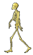 cool skeleton animation