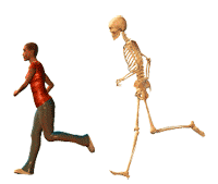 running from skeleton