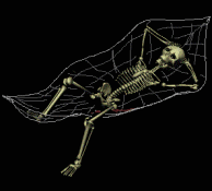 skeleton relaxed