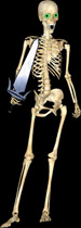 skeleton with sword