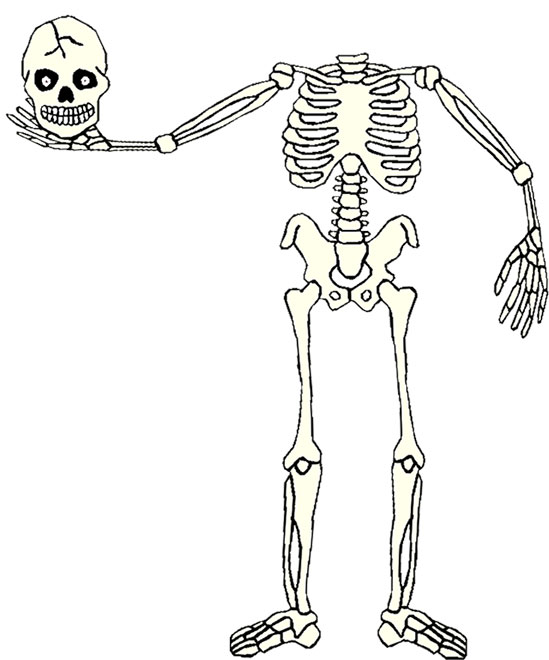 skeleton trick