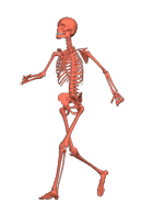 animated skeleton