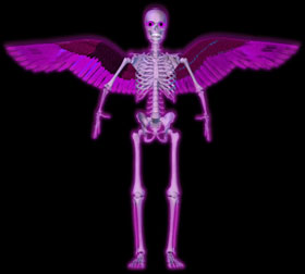 skeleton with wings
