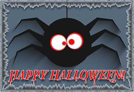black spider - Happy Halloween