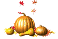 gourds and pumpkins animation