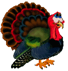 turkey animation