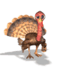turkey waving