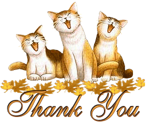 Thank You Cats