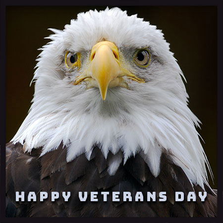 Happy Veterans Day
