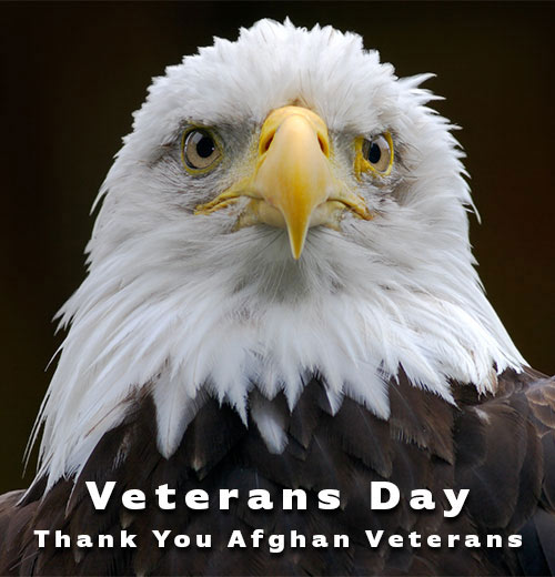 Eagle