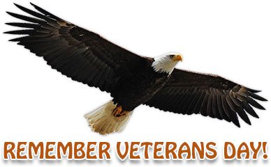 Remember Veterans Day